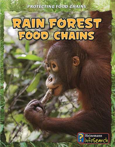 Rain Forest Food Chains (Protecting Food Chains) book cover by Heidi Moore