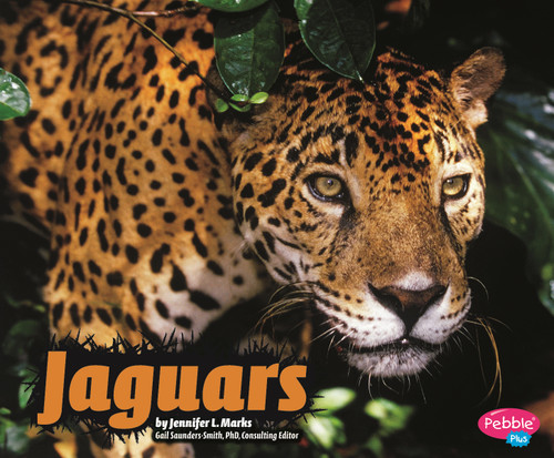 Jaguars (Wildcats) book cover by Jennifer L. Marks