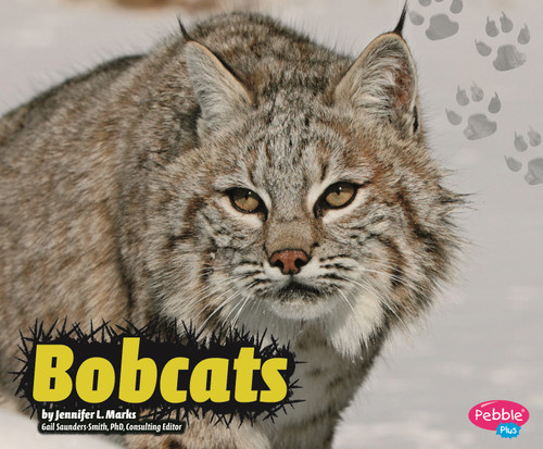 Bobcats (Wildcats) book cover by Jennifer L. Marks