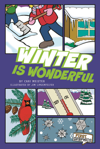 Winter Is Wonderful (First Graphics: Seasons) book cover by Cari Meister
