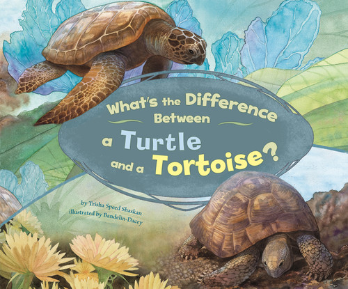 What's the Difference Between a Turtle and a Tortoise? (What's the Difference?) book cover by Trisha Speed Shaskan