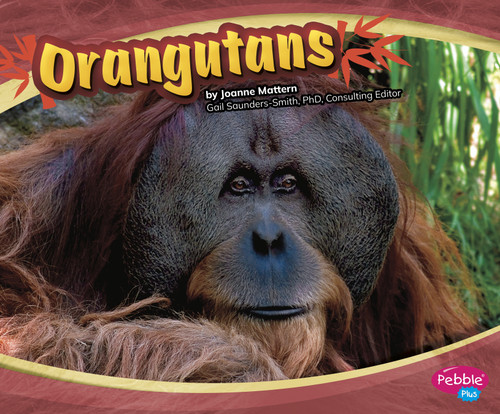 Orangutans (Asian Animals) book cover by Joanne Mattern