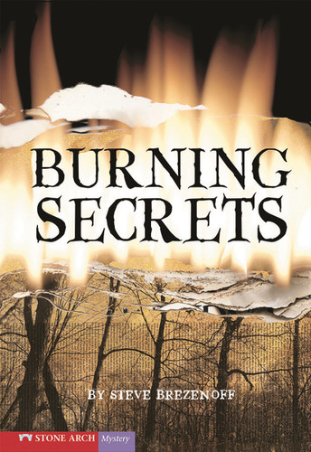 Burning Secrets (Vortex Books) book cover by Steve Brezenoff