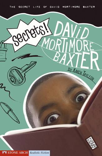Secrets!: The Secret Life of David Mortimore Baxter (David Mortimore Baxter) book cover by Karen Tayleur