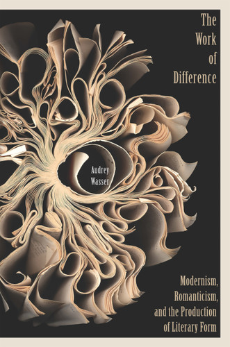 The Work of Difference: Modernism, Romanticism, and the Production of Literary Form book cover by Audrey Wasser
