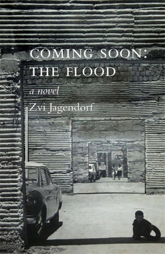 Coming Soon: The Flood book cover by Zvi Jagendorf