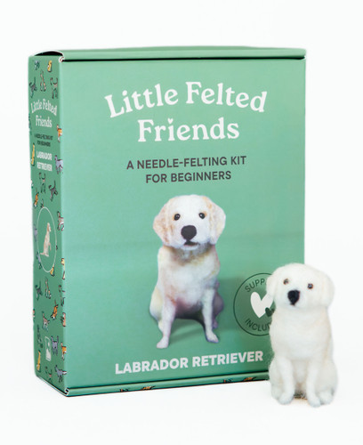 Little Felted Friends: Labrador Retriever: Dog Needle-Felting Beginner Kits with Needles, Wool, Supplies, and Instructions (Little Felted Friends: Needle-Felting Kits for Beginners) book cover by Alyson Gurney