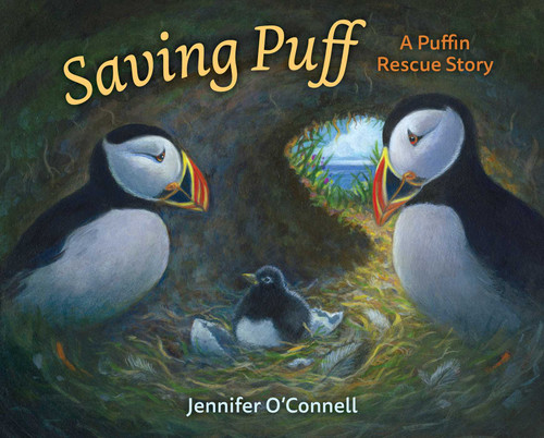 Saving Puff: A Puffin Rescue Story book cover by Jennifer O'Connell