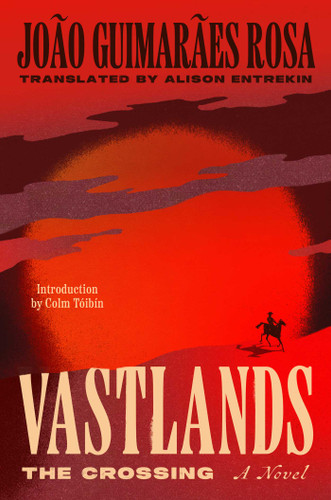 Vastlands: The Crossing: A Novel book cover by João Guimarães Rosa