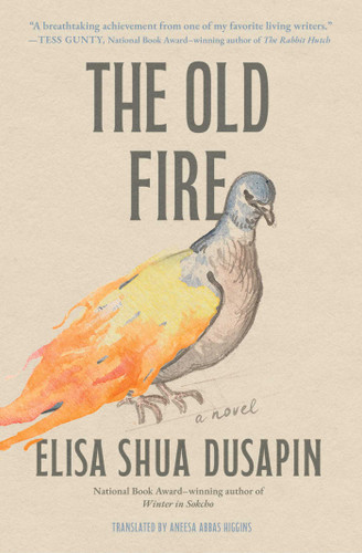 The Old Fire: A Novel book cover by Elisa Shua Dusapin