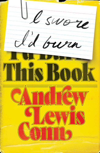 I Swore I'd Burn This Book book cover by Andrew Lewis Conn