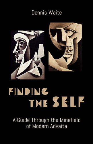 FINDING THE SELF: A Guide Through the Minefield of Modern Advaita book cover by Dennis Waite