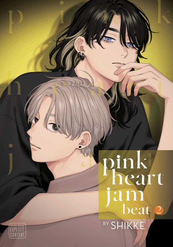 Pink Heart Jam beat, Vol. 2 (Pink Heart Jam beat) book cover by Shikke