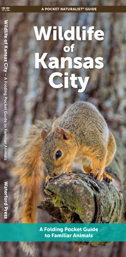 Wildlife of Kansas City: A Folding Pocket Guide to Familiar Animals book cover by J.M. Kavanagh