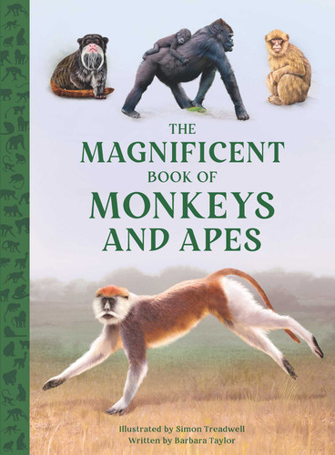 The Magnificent Book of Monkeys and Apes (The Magnificent Book of) book cover by Barbara Taylor