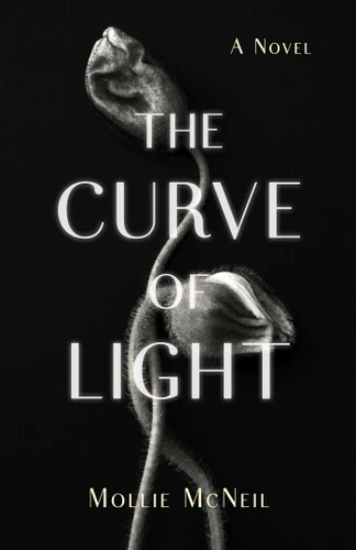 The Curve of Light: A Novel book cover by Mollie McNeil