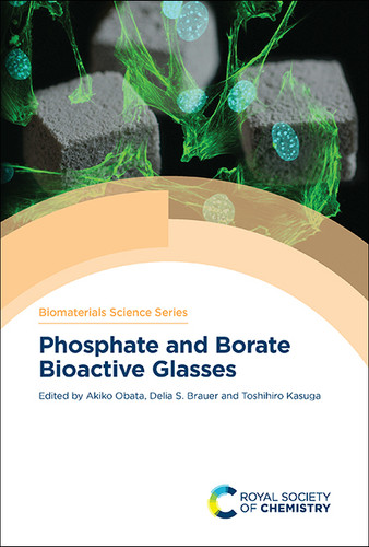 Phosphate and Borate Bioactive Glasses book cover by 