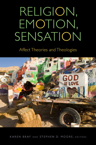 Religion, Emotion, Sensation: Affect Theories and Theologies (Transdisciplinary Theological Colloquia) book cover by 