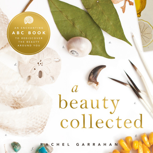 A Beauty Collected: A Captivating ABC Book to Discover the Beauty Around You book cover by Rachel Garahan