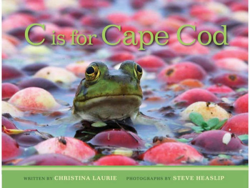 C is for Cape Cod book cover by Christie Laurie