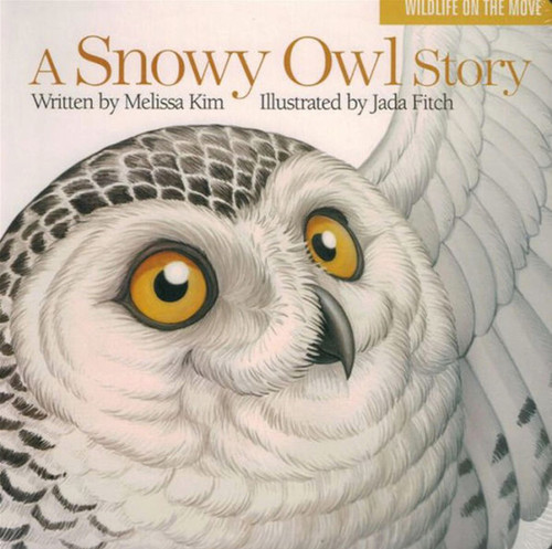 A Snowy Owl Story book cover by Melissa Kim