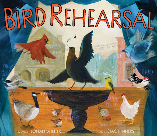 Bird Rehearsal: A Picture Book book cover by Jonah Winter