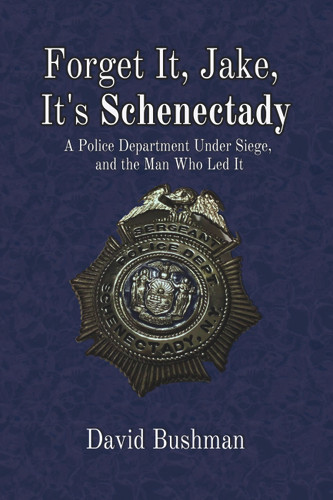 Forget It, Jake, It's Schenectady: The True Story Behind The Place Beyond the Pines book cover by David Bushman