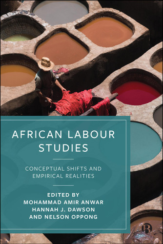 African Labour Studies: Conceptual Shifts and Empirical Realities book cover by 