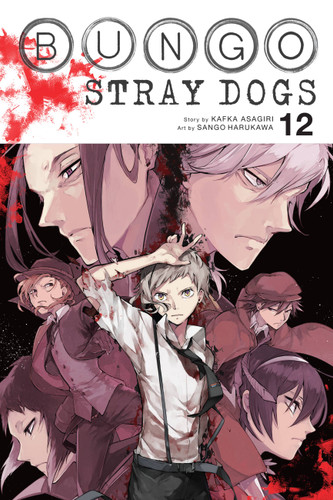 Bungo Stray Dogs, Vol. 12 (Bungo Stray Dogs #12) book cover by Kafka Asagiri