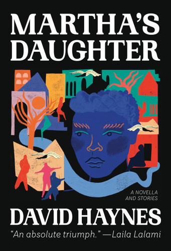 Martha's Daughter: (Of the Diaspora) book cover by David Haynes