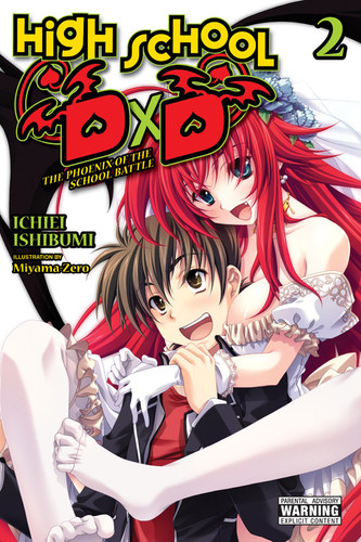 High School DxD, Vol. 2 (light novel): The Phoenix of the School Battle (High School DxD (light novel) #2) book cover by Ichiei Ishibumi