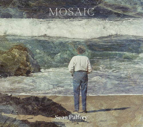 Mosaic (Sean Palfrey Photography Series) book cover by Sean Palfrey