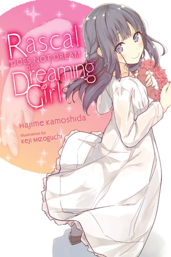 Rascal Does Not Dream of a Dreaming Girl (light novel) (Rascal Does Not Dream (light novel) #6) book cover by Hajime Kamoshida