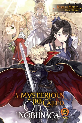 A Mysterious Job Called Oda Nobunaga, Vol. 3 (light novel) (A Mysterious Job Called Oda Nobunaga (light novel) #3) book cover by Kisetsu Morita