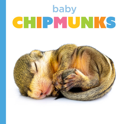 Baby Chipmunks (Starting Out) book cover by Graham Morgan