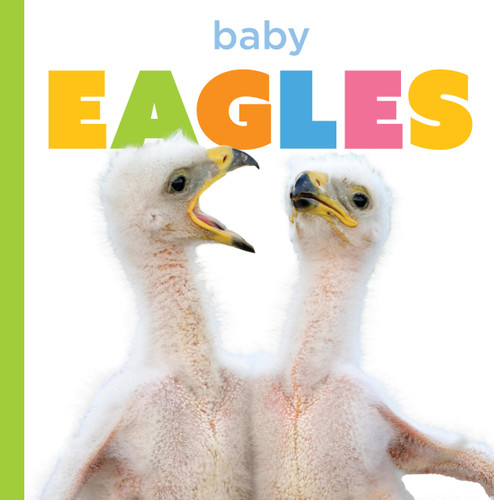 Baby Eagles (Starting Out) book cover by Graham Morgan