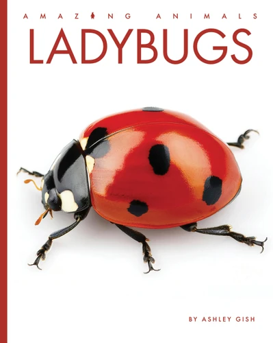 Ladybugs (Amazing Animals) book cover by Ashley Gish