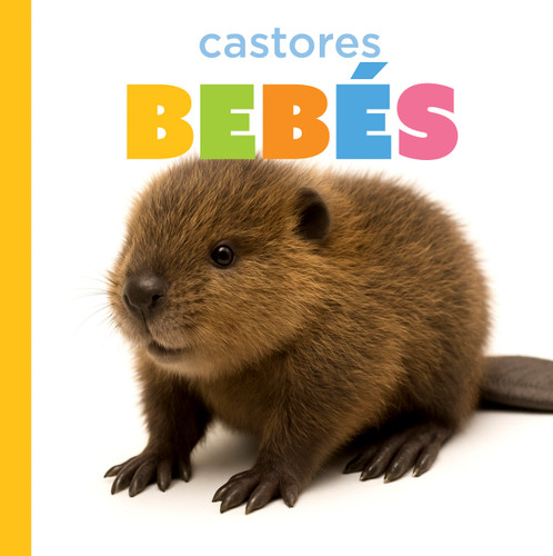 Castores bebés book cover by Graham Morgan
