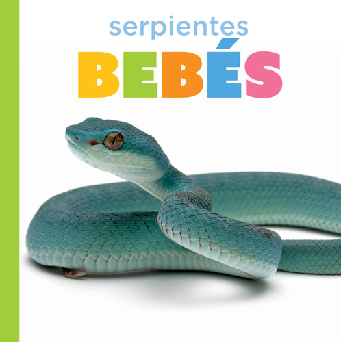 Serpientes bebés book cover by Graham Morgan