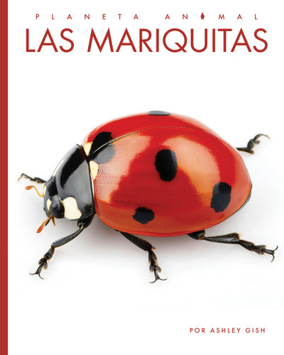 Las mariquitas book cover by Ashley Gish