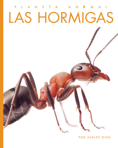 Las hormigas book cover by Ashley Gish