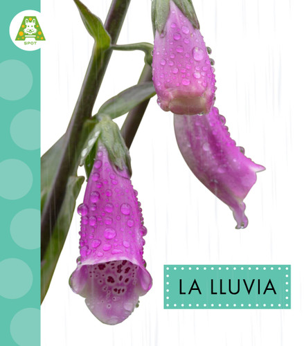 La lluvia book cover by Anastasia Suen