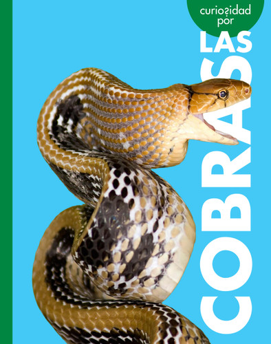 Curiosidad por las cobras book cover by Rachel Grack