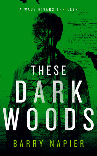 These Dark Woods: A Rural Noir Crime Thriller (Wade Rivers #3) book cover by Barry Napier