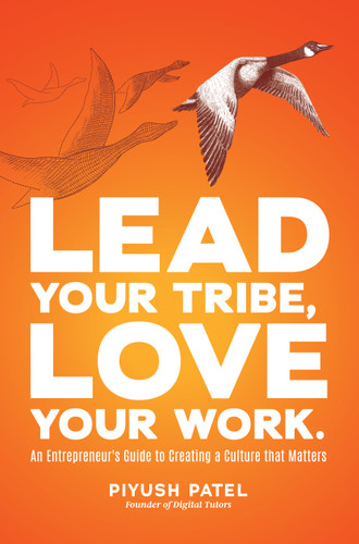 Lead Your Tribe, Love Your Work: An Entrepreneur's Guide to Creating a Culture that Matters book cover by Piyush Patel