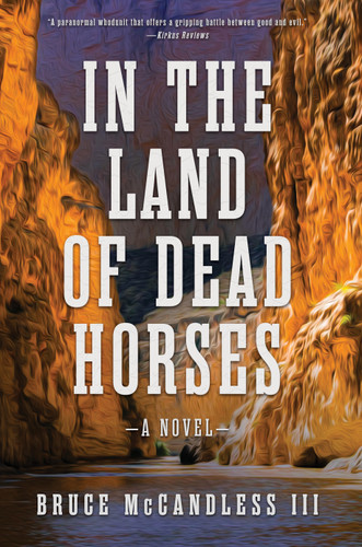 In the Land of Dead Horses book cover by Bruce McCandless III