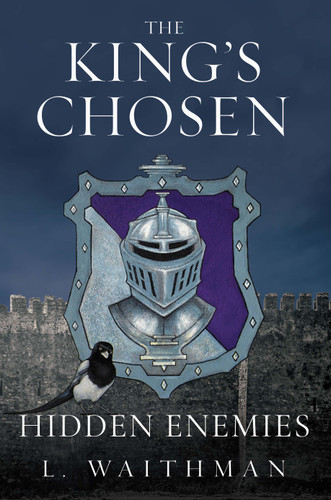 Hidden Enemies book cover by L. Waithman