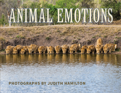 Animal Emotions book cover by Judith Hamilton