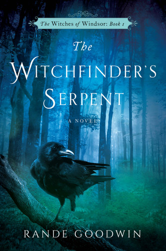 The Witchfinder's Serpent book cover by Rande Goodwin