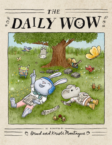 The Daily Wow book cover by Brad Montague, Kristi Montague